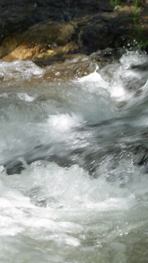 Natural Water Resource in Protected Landscape Vídeos de archivo 336146183
