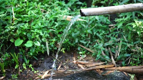 Natural water source with bamboo Video stock 275571238