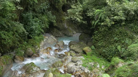 A natural water source flows in a stream around a forest, in China Stock Footage 231804260