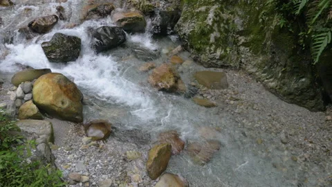 A natural water source flows in a stream in the middle of the forest, in China Stock Footage 231820753