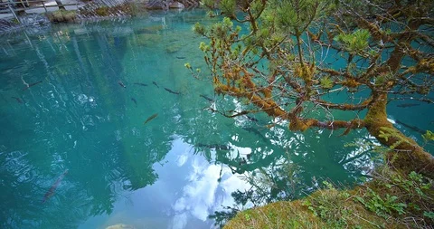 Natural water source Stock Footage 109586284