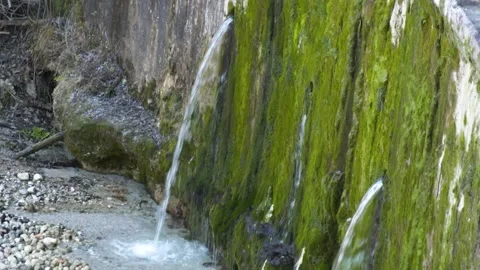 Natural water source Stock Footage 146732339