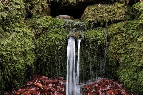 Natural water source framed by moss in the forest Stock Photos
