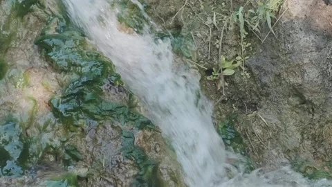 Natural water source, water flow. Italy Video stock 136560800