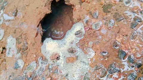 Natural water spring bubbling up from the ground Stock Footage 346745962