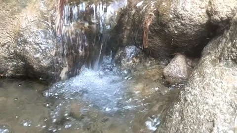 Natural Water Spring Flow 库存影片 334836624