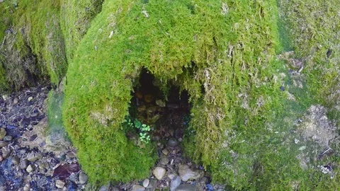 Natural Water Spring Stock Footage 90124323