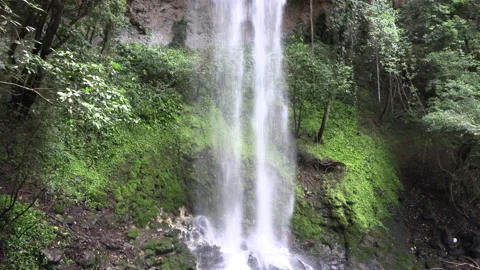 Natural water stream falling from the top with a background Vidéo 158326819