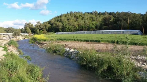 Natural water stream in fields Stock Footage 126946653