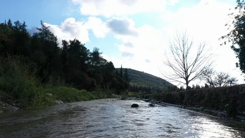 Natural Water Stream Stock Footage 126946594