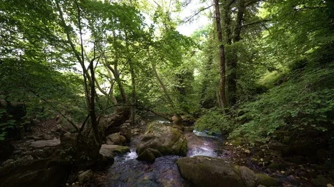 Natural water supply, 動画素材 111454007