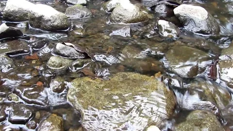 Natural water texture 13 Stock Footage 211569523