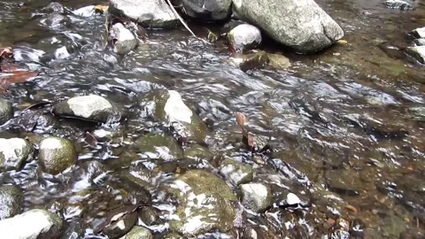 Natural water texture 14 Video stock 211570160