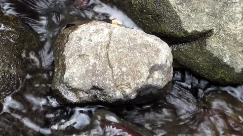 Natural water texture 15 Video stock 211570226