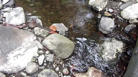 Natural water texture 18 Stock Footage 211571270