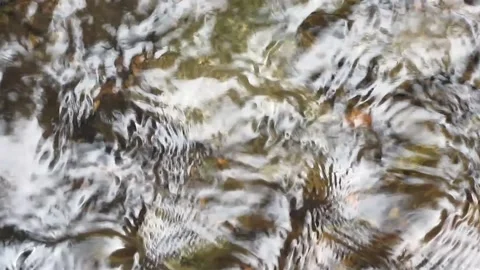 Natural water texture 3 库存影片 211564114