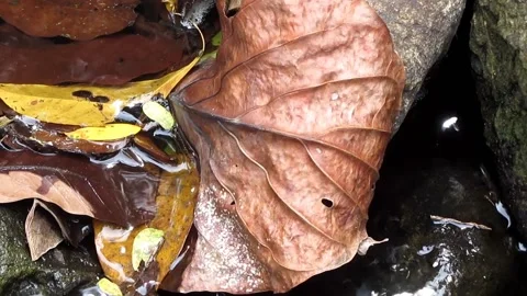 Natural water texture 4 Video stock 211564148