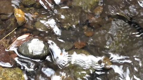 Natural water texture 5 Stock Footage 211564204