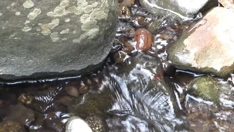 Natural water texture 7 Stock Footage 211567963