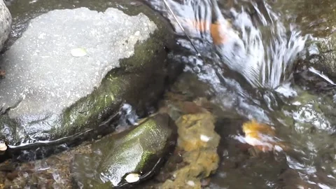 Natural water texture 8 Stock Footage 211568280