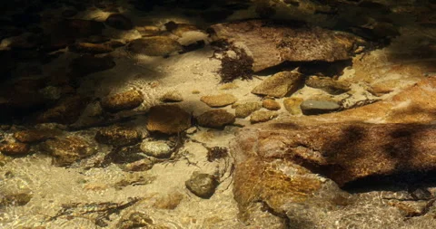 Natural water texture with moving light patterns in slow motion 4k 100fps Vídeos de archivo 335716838