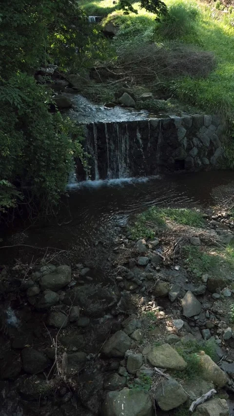 Natural Waterfall Cascading over Rocks in Mountain Stream at Oyama Japan Stock Footage 337151071