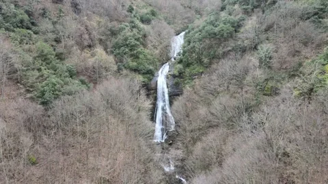 Natural waterfall drone Stock Footage 263920103