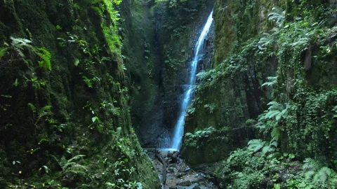 Natural waterfall drone shot Stock Footage 240783174