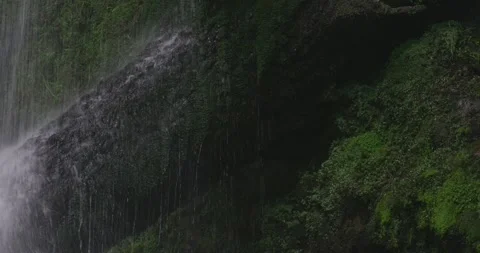 Natural Waterfall Flow in Dense Green Vegetation 스톡 동영상 330638660