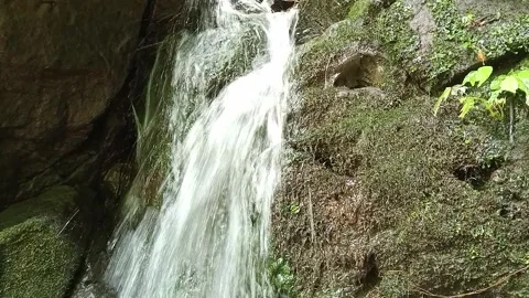 Natural Waterfall Flow in Tropical Forest Close Up, Fresh Clear Water Stream Stock Footage 330543117