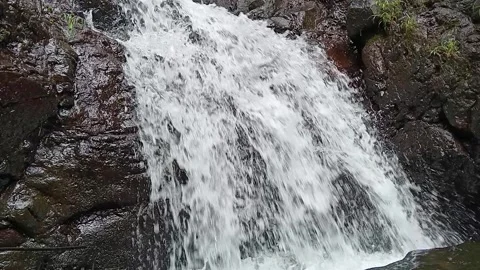 Natural Waterfall Flowing Over Rocks in Forest Close-Up Stock Footage 330529941