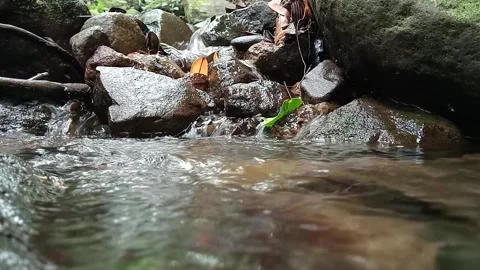 Natural Waterfall Flowing Into Small River in Forest – Cinematic Shot Stock Footage 329775570