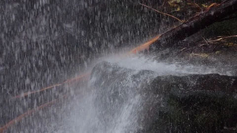 Natural waterfall. 스톡 동영상 98295337