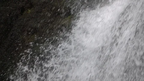 Natural waterfall. Vídeo Stock 98295348