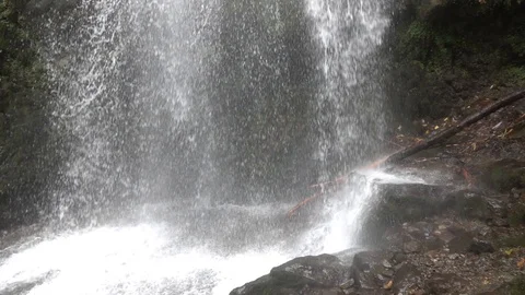 Natural waterfall. 스톡 동영상 98407508