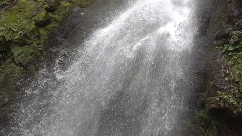 Natural waterfall. Vídeo Stock 98407522