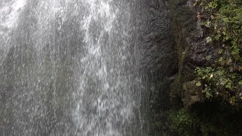 Natural waterfall. 스톡 동영상 98500171