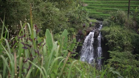 Natural Waterfall Stock Footage 111884541