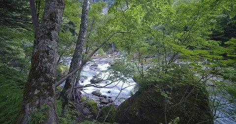 Natural waterfall Video stock 115829703