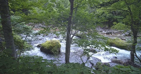 Natural waterfall Video stock 115829716