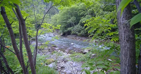 Natural waterfall Video stock 115829929