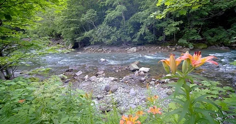 Natural waterfall Video stock 115829948