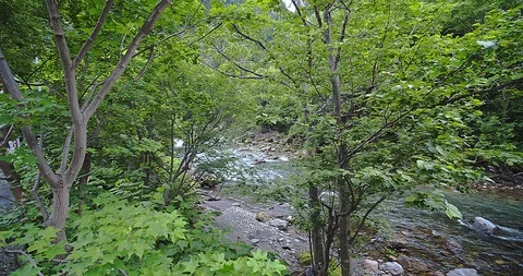 Natural waterfall Video stock 115830190