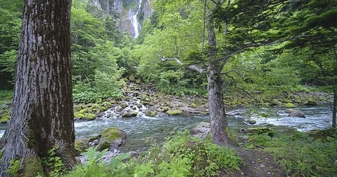 Natural waterfall Video stock 115830395