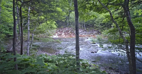 Natural waterfall Video stock 115830468