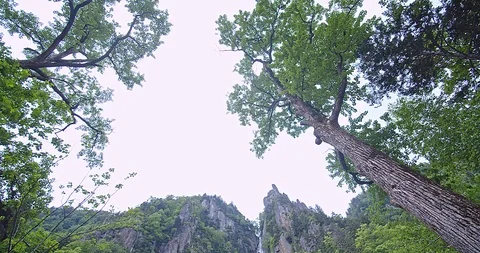 Natural waterfall Video stock 115830763