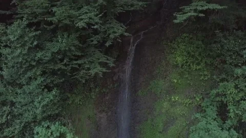 Natural waterfall. Stock Footage 147681790