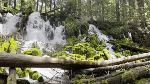 Natural waterfall Stock Footage 156664950
