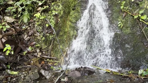 Natural Waterfall 库存影片 224365710