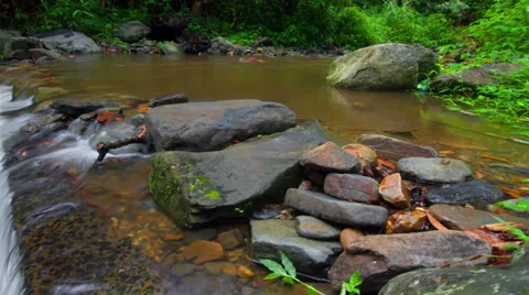 Natural waterfall in the forest Video stock 38833503